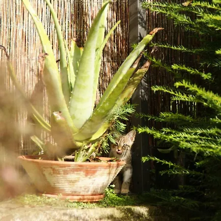 Casa El Campano * Ontaneda